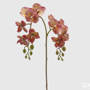 Orchidea artificiale EDG