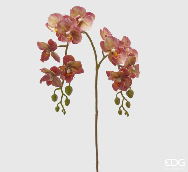 Orchidea artificiale EDG