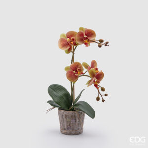 Orchidea artificiale edg