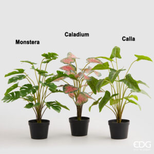 piante artificiali edg