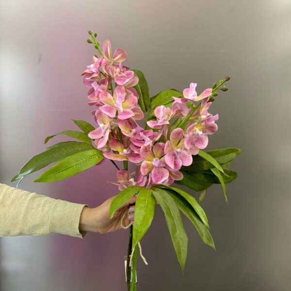 Mazzo orchidee Vanda di Edg Enzo de Gasperi
