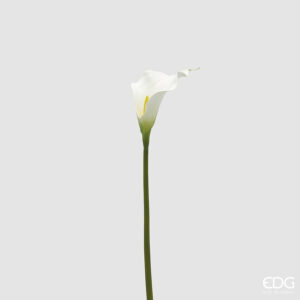 Calla artificiale edg enzo de gasperi